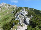 Spodnja Kokra - Storžič